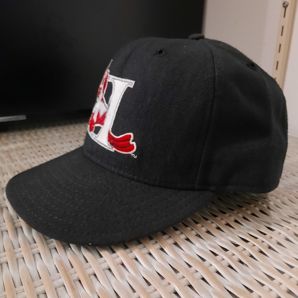 VTG MiLB Hickory Crawdads 1993 on field hat - Picture 2 of 4